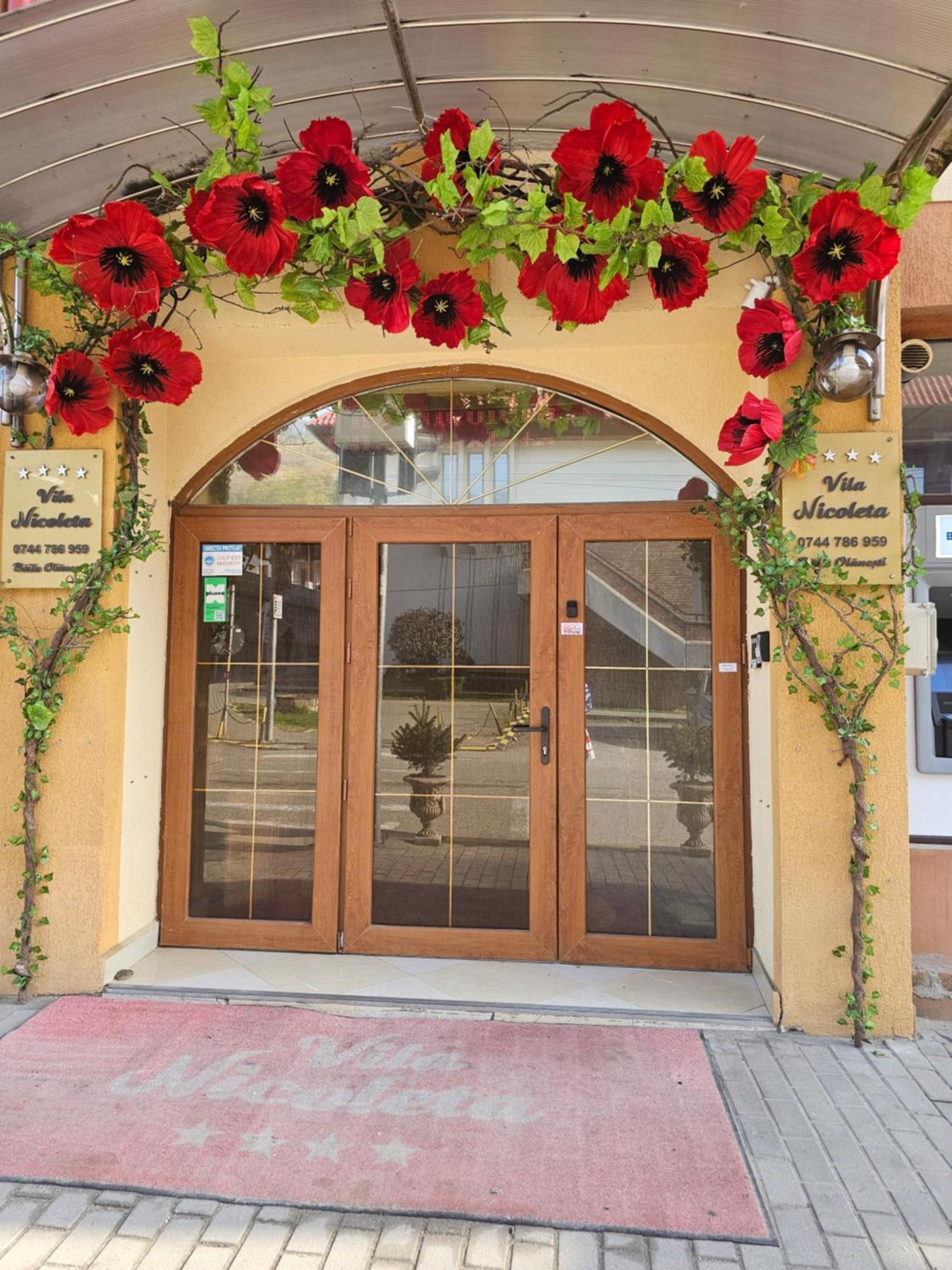 Vila Nicoleta Baile Olanesti Exterior photo