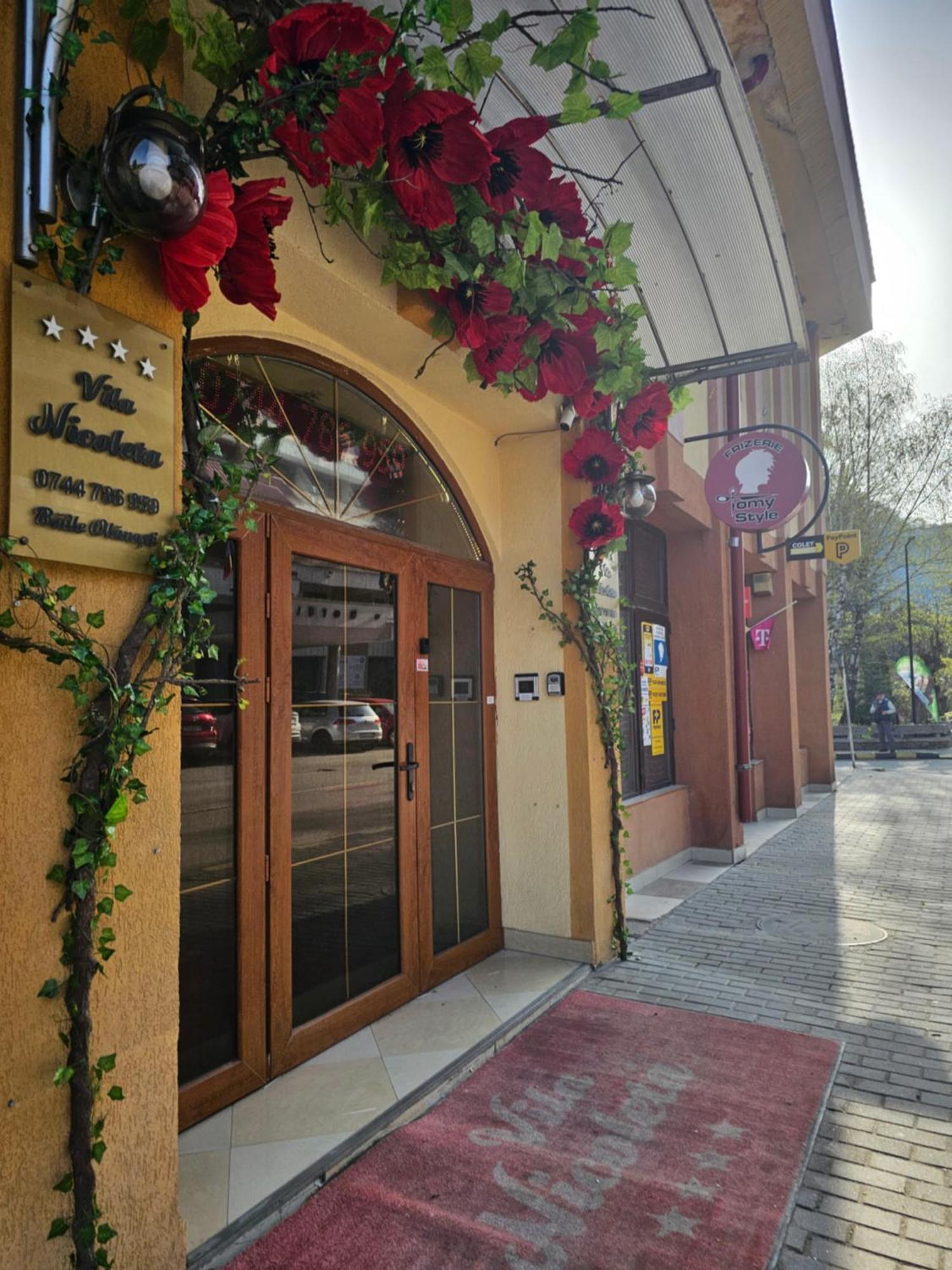 Vila Nicoleta Baile Olanesti Exterior photo